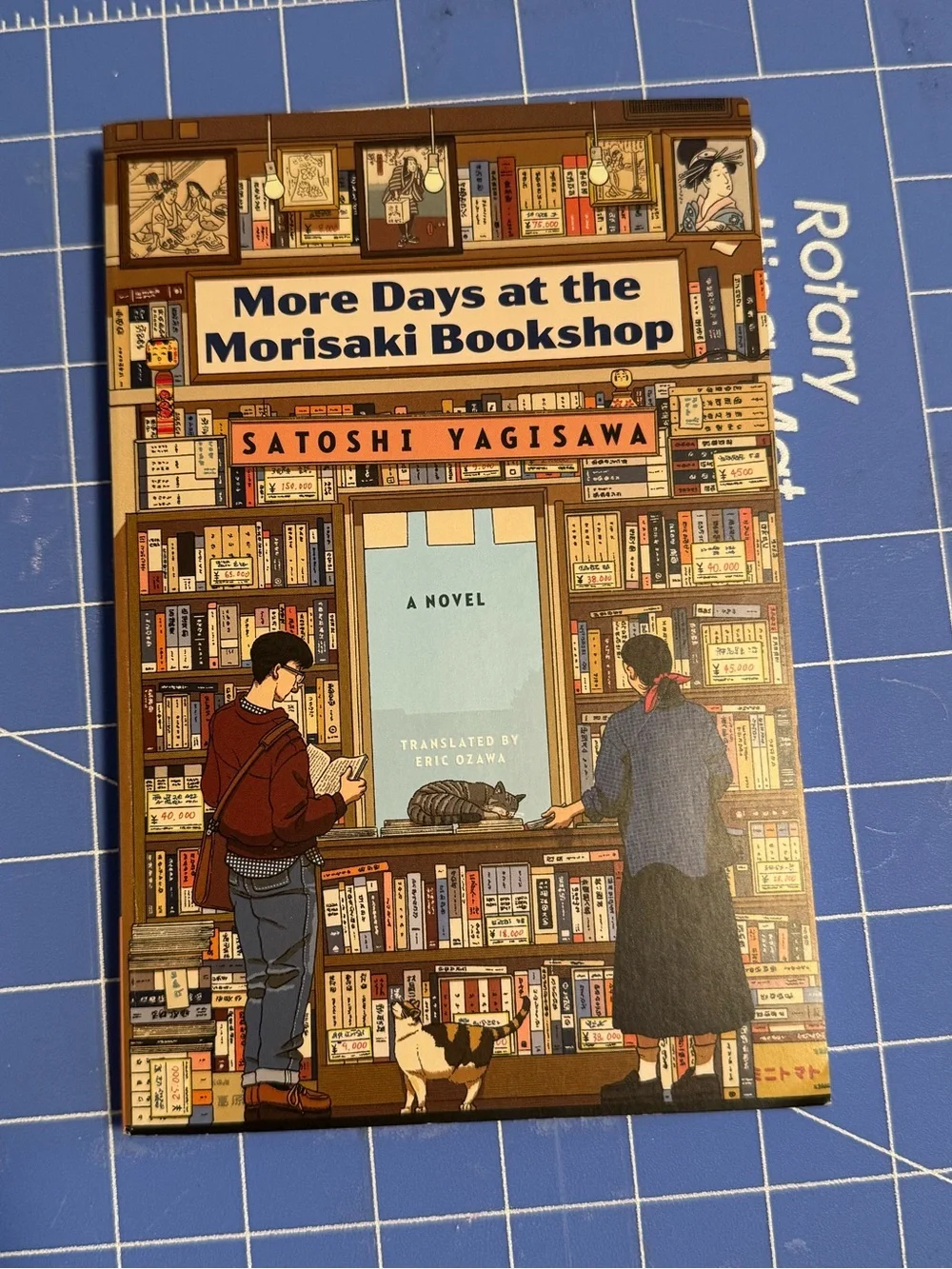 Bundle of two books by Satoshi Yagisawa